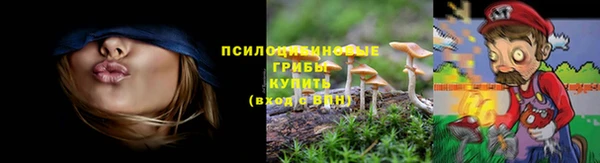 a pvp Вязьма