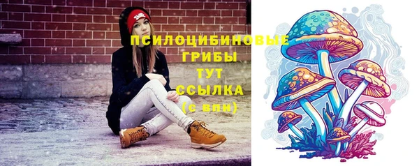 не бодяженный Вяземский