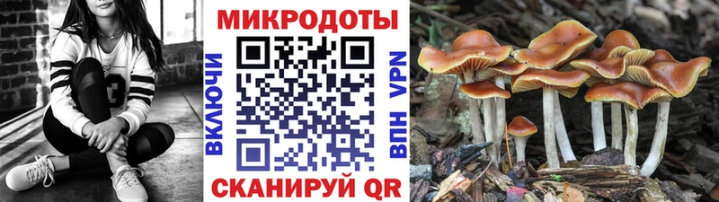 Галлюциногенные грибы мицелий  Волгореченск 